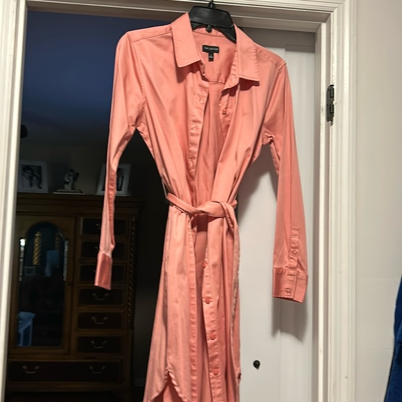 Tunic Shirt/Dress - Picture 1 of 5